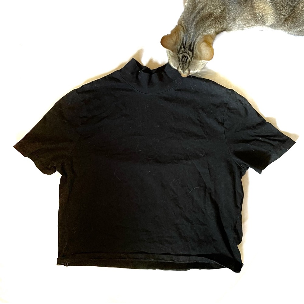 h&m black crop top size large (fat phobic fast fashion check)